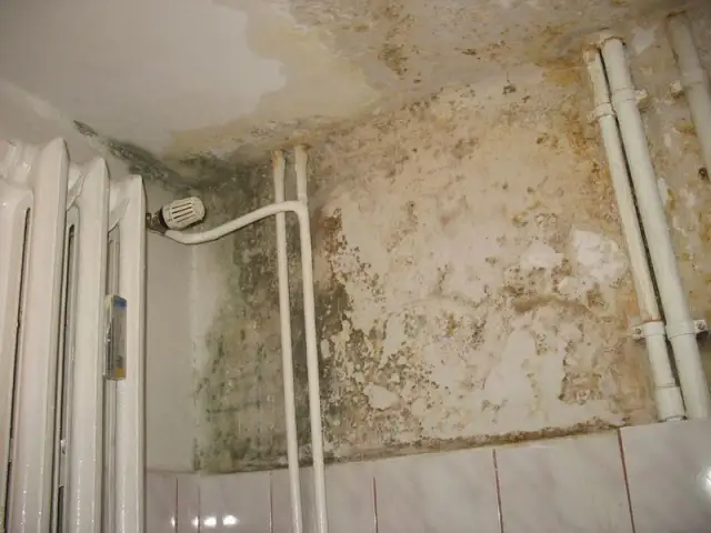 Hydroizolacja łazienki: Co daje "iso" i dlaczego jest kluczowe?