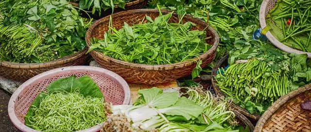 Opłacalna uprawa ziół w Polsce: Jak zacząć i co się liczy?