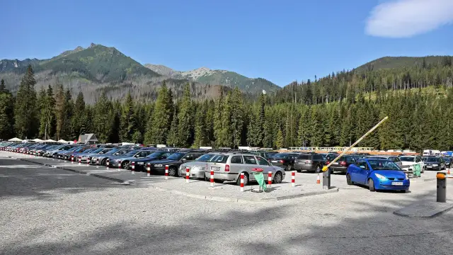 Duży, kamienisty morskie oko parking pełen samochodów, otoczony gęstym lasem świerkowym i górami.