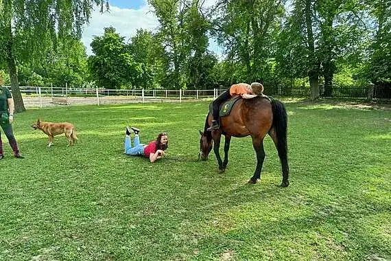 Stadnina koni Deresz - Opinie, usługi i historia klubu jeździeckiego