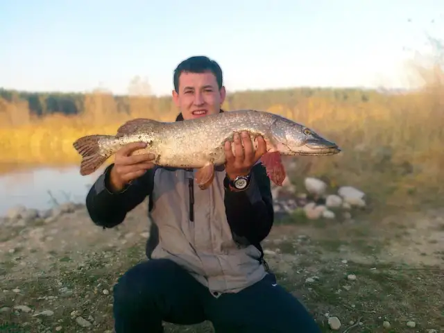 Łowisko Frydman – idealne miejsce na wędkarskie przygody i relaks