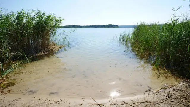 Jezioro w Boszkowie: piękne miejsce na wędkowanie i sporty wodne