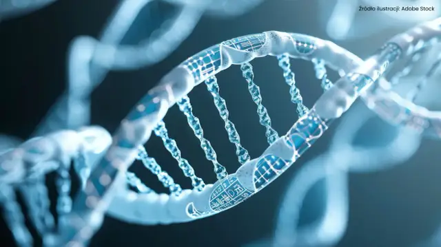 Geny a lęk: Predyspozycje to nie wyrok. Jak sobie radzić?