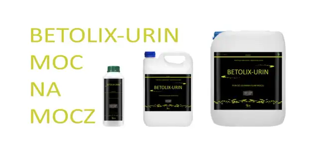 Jak usunąć zapach moczu psa z betonu? Skuteczne metody i porady