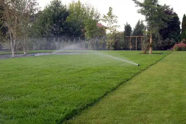 Jakie ciśnienie do zraszaczy wynurzalnych zapewnia najlepsze nawadnianie?