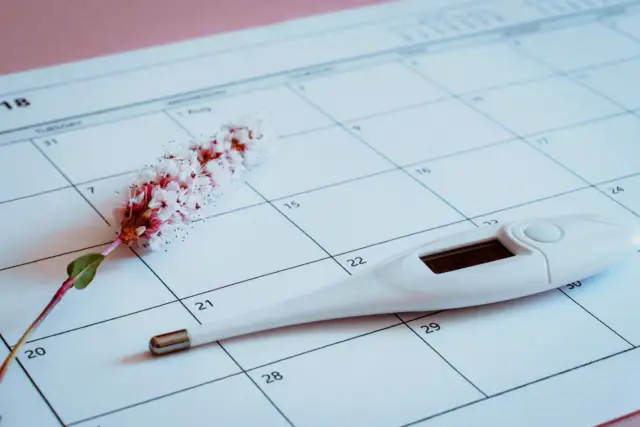 Owulacja w 28-dniowym cyklu: Kiedy wypada i jak ją rozpoznać?
