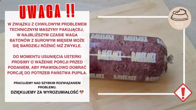 Surowe mięso dla kota: Czy to bezpieczne? Przewodnik BARF