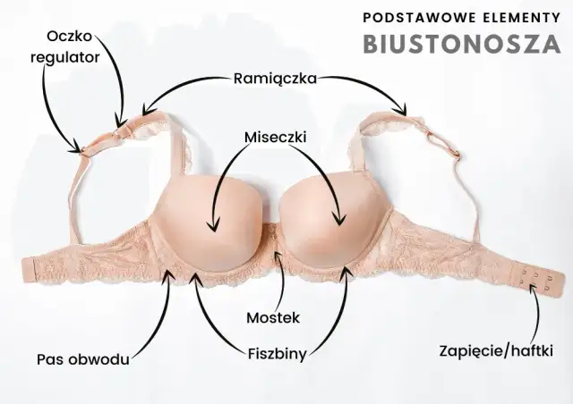 Fiszbiny w biustonoszu: Co to jest i dlaczego są ważne?