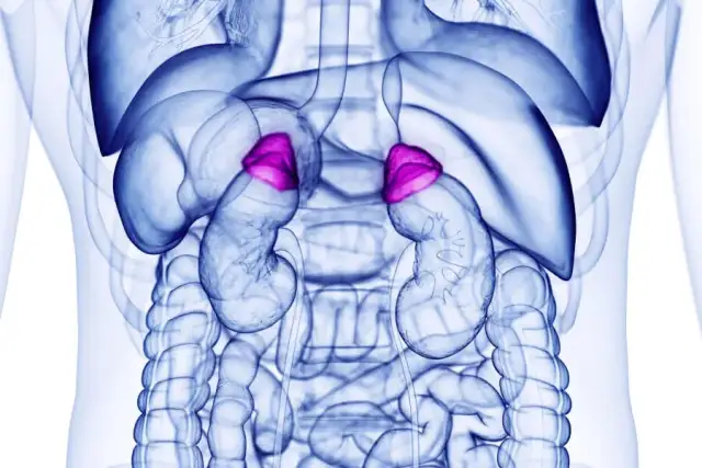 Choroba Addisona objawy - jak je rozpoznać i uniknąć powikłań