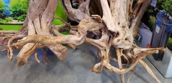 Jaki korzeń do akwarium wybrać, aby uniknąć problemów z wodą?