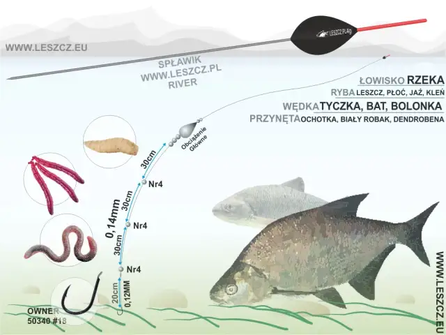 Wędka Feeder: Na Jakie Ryby i Gdzie Łowić? Kompletny Przewodnik