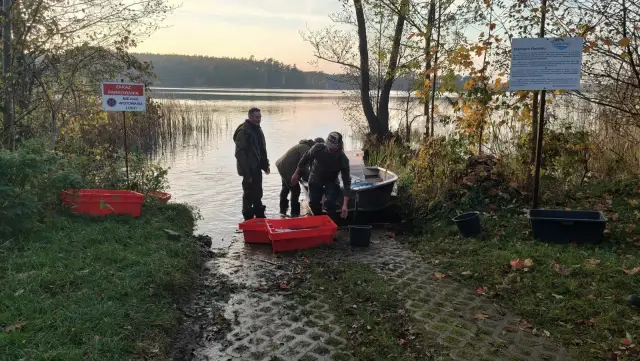 Opłaty PZW Toruń: ile kosztuje wędkowanie i jakie są zniżki?