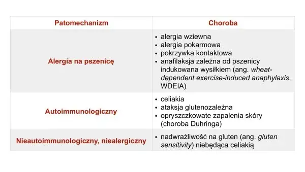 Nietolerancja glutenu u dorosłych: objawy, diagnoza i życie bez glutenu