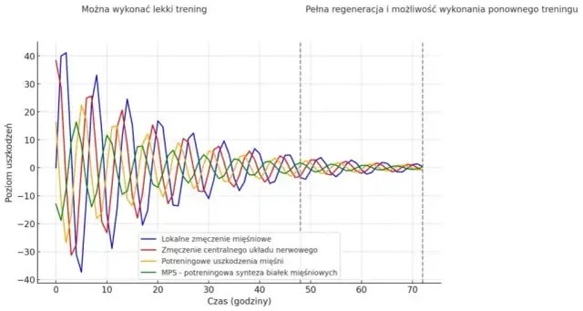 Ile dni w tygodniu ćwiczyć? Optymalna częstotliwość dla Ciebie