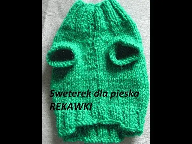 Sweterek dla psa na drutach: Zrób to sam i dopasuj idealnie!