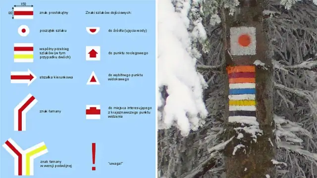 Kolorowe znaki szlaków turystycznych PTTK namalowane na drzewie w zimowej scenerii.