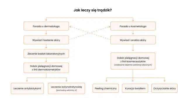 Schemat leczenia trądziku: porada u dermatologa lub kosmetologa, badania, dobór pielęgnacji domowej i zabiegi takie jak antybiotyki, izotynotretynoina, peelingi, kuracja światłem, oczyszczanie skóry.