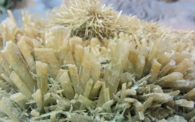 Gips w postaci skupiska żółtawych kryształów, przypominających igły i słupki.