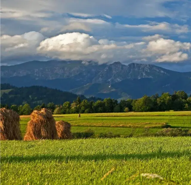 Biały Dunajec: Atrakcje na każdą porę roku? Odkryj sekrety Podhala!