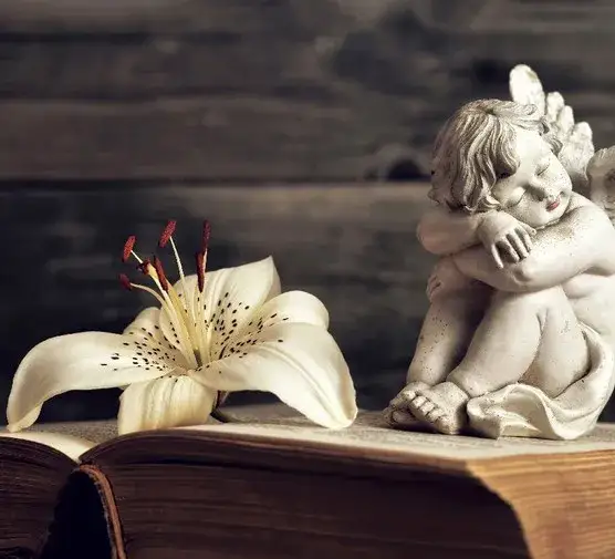 Cytaty z tam gdzie spadają anioły, które zmienią Twoje myślenie