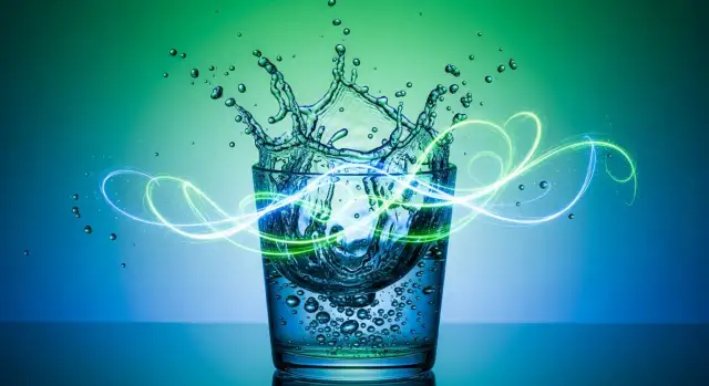 Napoje dzik: poznaj moc energetyczną bez cukru i kalorii