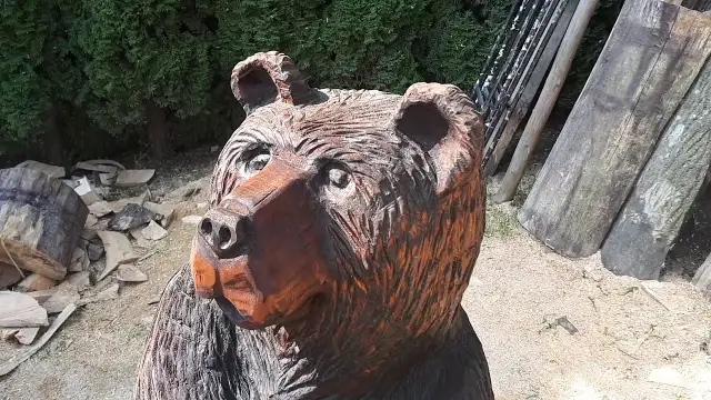 Rzeźba niedźwiedzia: odkryj ich znaczenie i najciekawsze przykłady