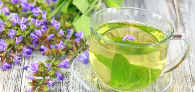 Jak zrobić napar z szałwii - proste przepisy i zdrowotne korzyści