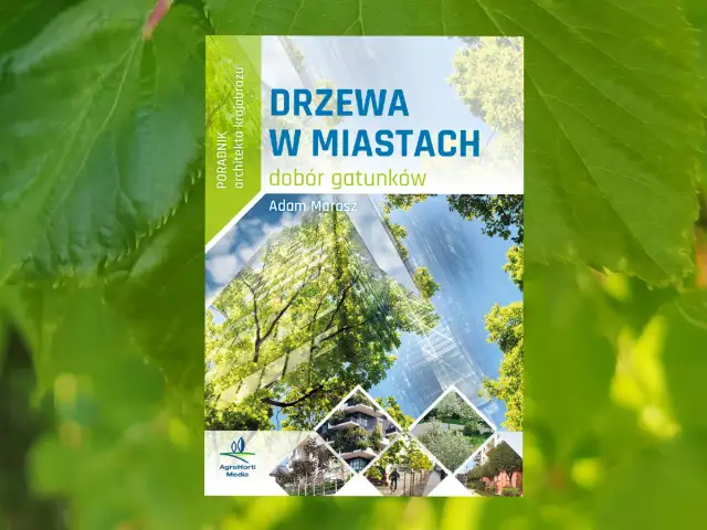 Drzewa na osiedle: Które gatunki wybrać? Praktyczny poradnik