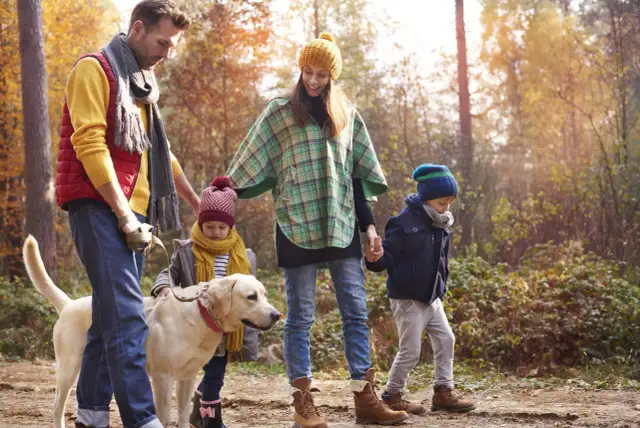 Co daje spacer z psem? Odkryj korzyści dla zdrowia i relacji