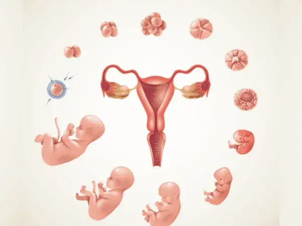 Jak dbać o rozwój dziecka w ciąży - kluczowe kroki dla zdrowia maluszka