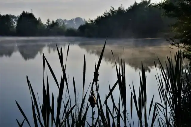 Łowisko Owczarnia - najlepsze miejsca na wędkowanie w Małopolsce