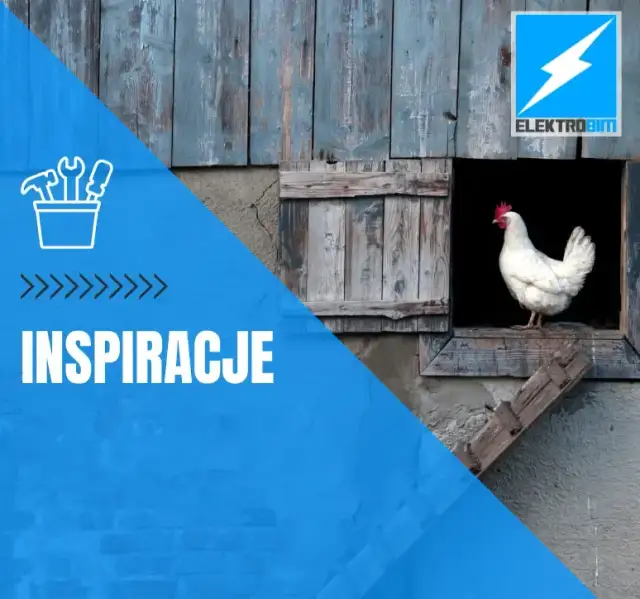 Jak zrobić automatyczne drzwi do kurnika, by ułatwić życie kurkom