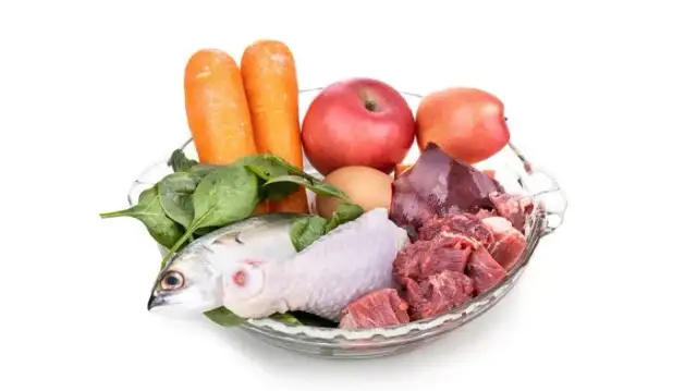 Surowa ryba dla psa: Tak, ale tylko z tymi zasadami!