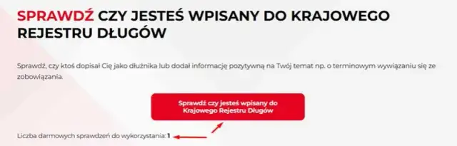 Jak sprawdzić osobę fizyczną w KRD? Pełny przewodnik i darmowy raport