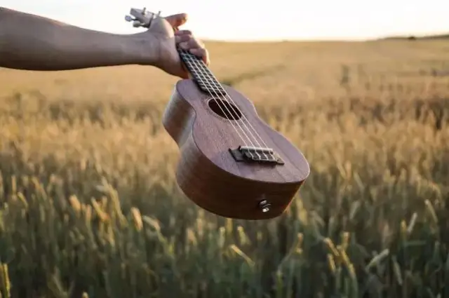 Gdzie kupić ukulele? 5 najlepszych sklepów w Polsce - ranking i opinie