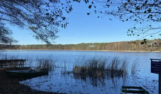 Działki rekreacyjne nad jeziorem Lubuskie – idealne na wakacje i inwestycje