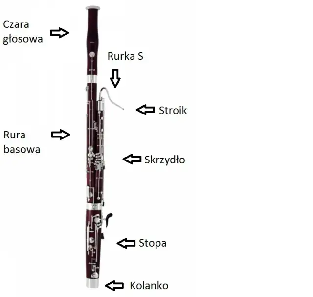 Fagot - instrument orkiestralny, historia, budowa, cena, nauka gry