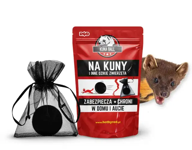 Kuny w samochodzie? Poznaj skuteczne sposoby i koszty!