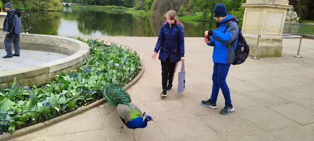 Muzeum Łowiectwa i Jeździectwa: Praktyczny przewodnik po wizycie