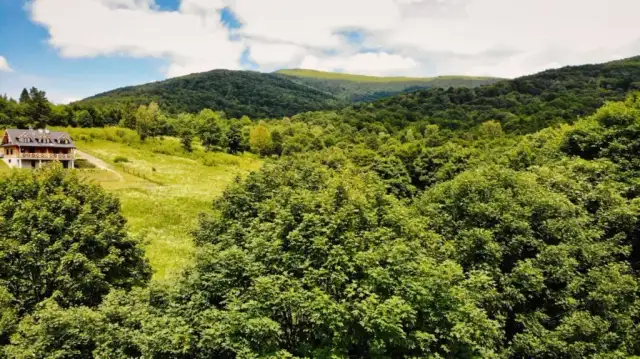 Co warto kupić w Bieszczadach? Odkryj unikalne skarby regionu