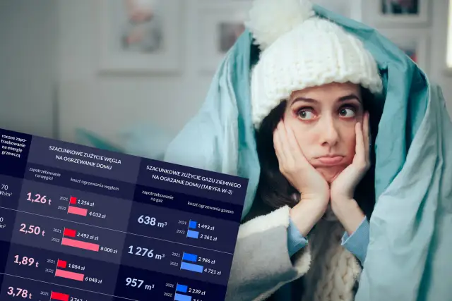 Ogrzewanie mieszkania 50m2: Koszty, opcje, jak oszczędzać?