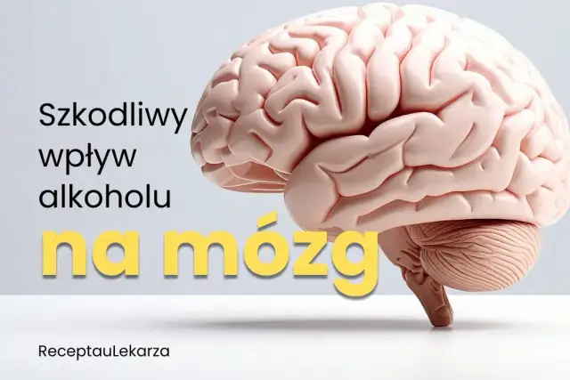 Alkoholizm: choroba psychiczna? Zobacz, co dzieje się w mózgu
