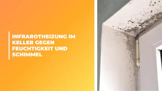 Keller heizen oder nicht: So vermeiden Sie Schimmel und Frostschäden