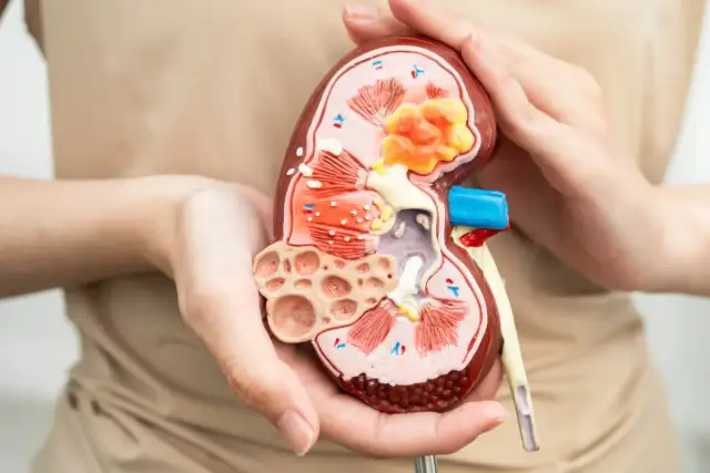 Gabinet urologiczny – kiedy warto się zgłosić i jakie objawy powinny zaniepokoić?