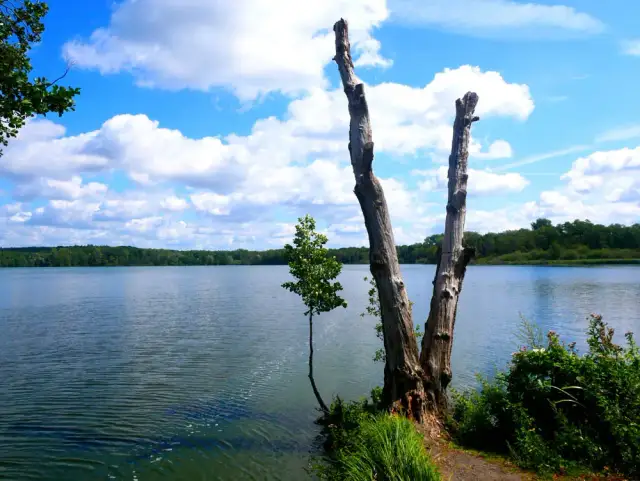 Krickenbecker Seen: Ihr Infozentrum & Wander-Guide (70 Zeichen)