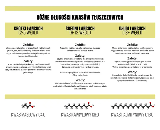 Krótkołańcuchowe kwasy tłuszczowe: 5 korzyści dla zdrowia