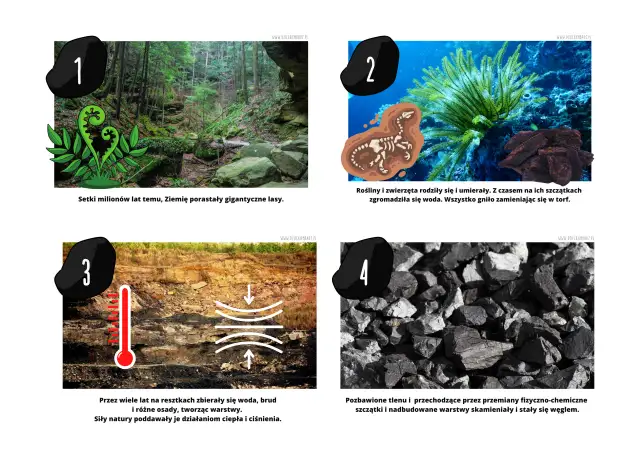 Jak powstał węgiel? Film i superopowieść dla małych odkrywców