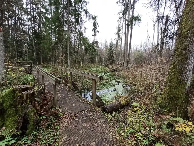 Rezerwat przyrody Krzemianka: piękno natury i unikalne atrakcje