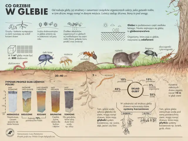 Gleba dla zwierząt: Dom, spiżarnia i schronienie. Odkryj jej rolę!