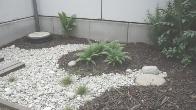 Mulcz dekoracyjny – co to jest i jak może odmienić Twój ogród